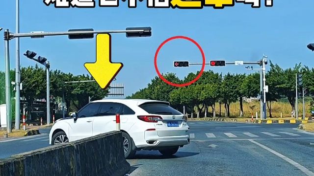 新手上路要注意什么？红绿灯路口这种情况要明白