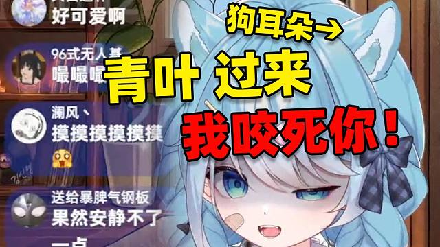 当你偷偷给主播模型加了狗耳朵 这下真变成蓝毛小狗了