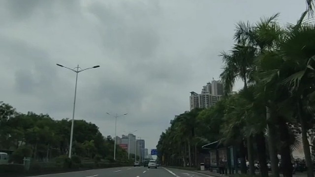 新手司机开车上路，要时刻注意出租车#汽车知识