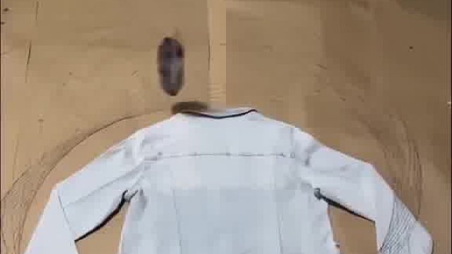 对粮食精的尊重