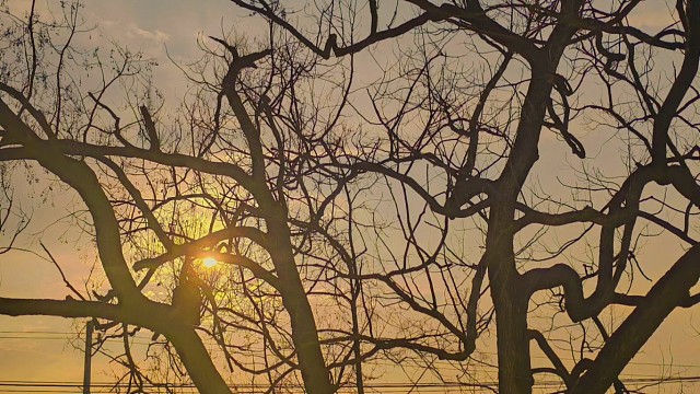 《乡村直播》的那些风景