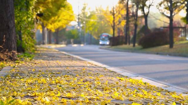 冠军.乔0907为热爱记录美好生活