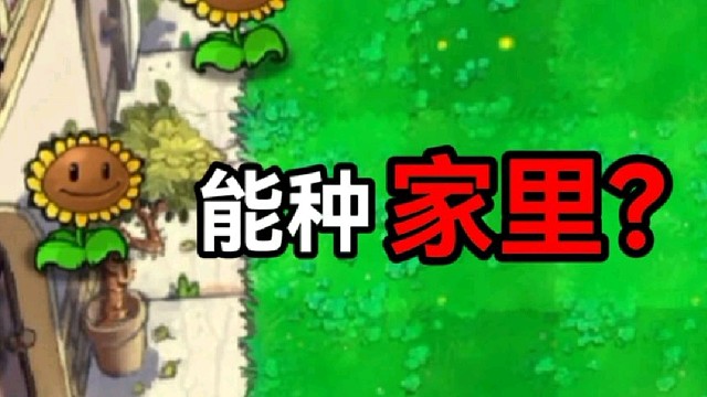 植物大战僵尸eae版：植物能种在家里？