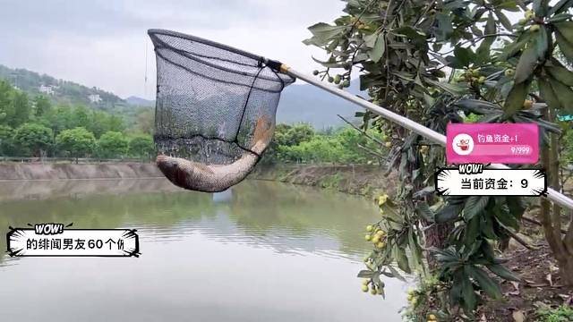 日子也是好起来啦