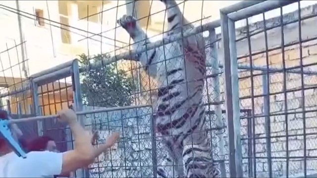 :我被网暴了  为我花生 为我花生[流泪]