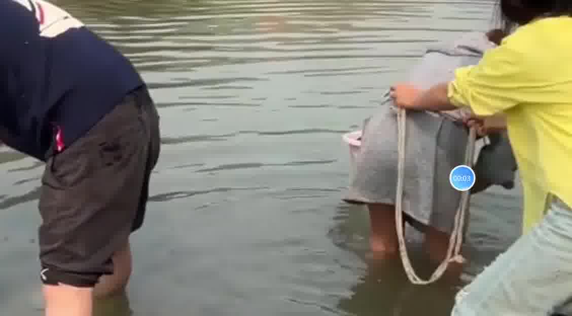 开开心心摸大鱼