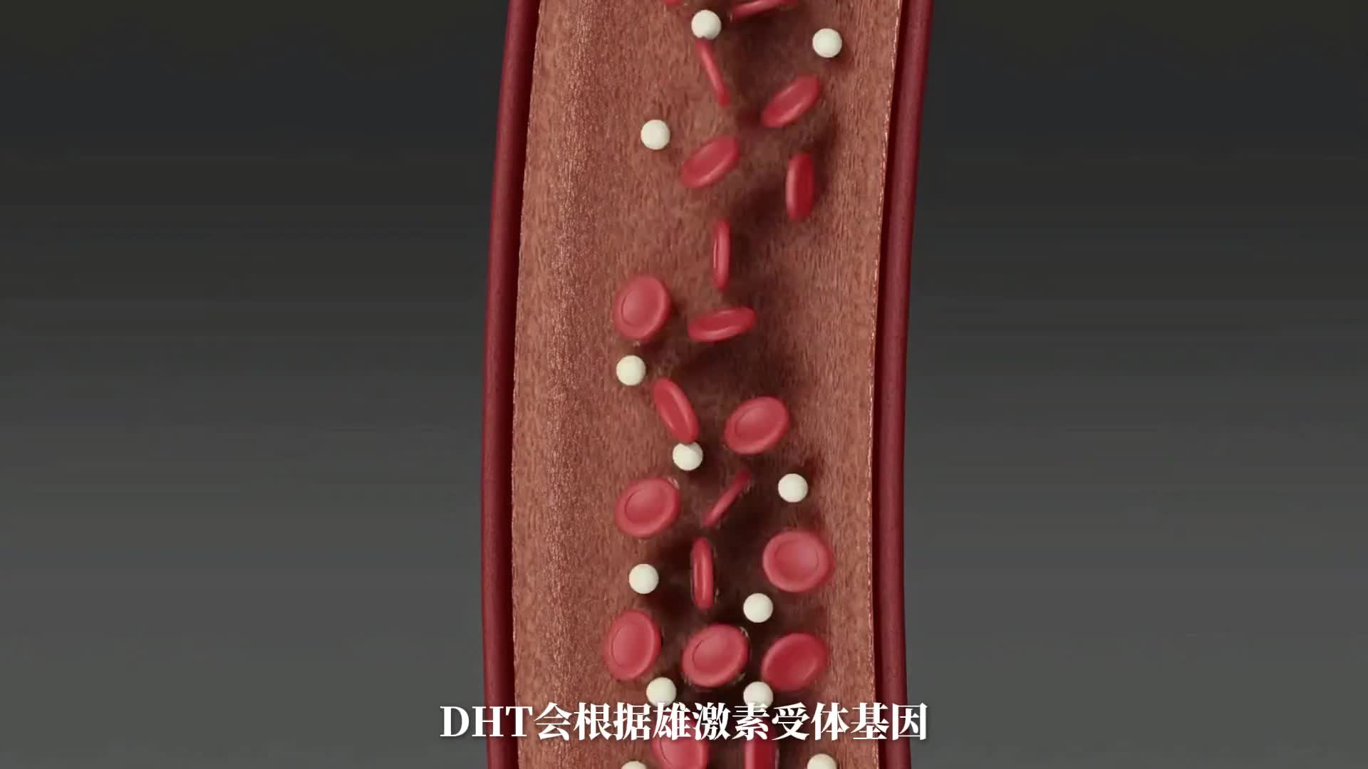 雄激素的“致命背叛”：为何越Man的男人越容易“秃”出重围？