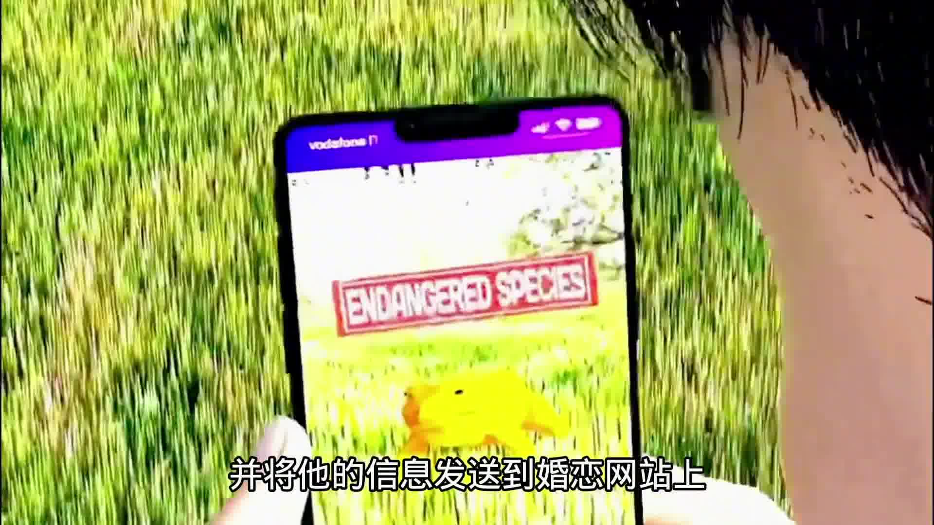 科学家为青蛙相亲，阻止了一个物种的灭绝