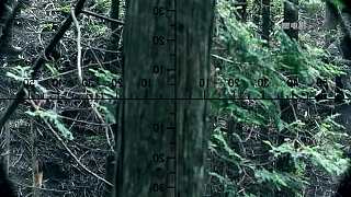 2  天下武功 ，唯快不破