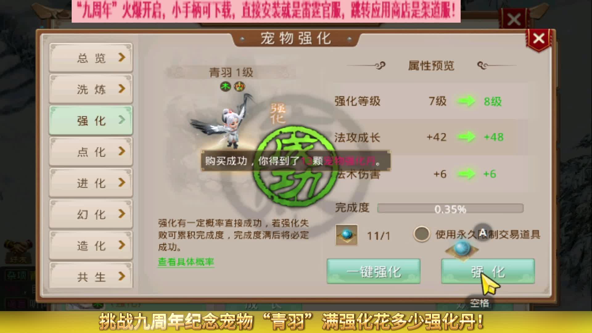 挑战九周年纪念宠物“青羽”满强化实际花多少强化丹！