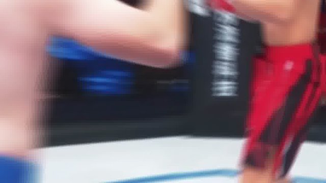 钟振杰VS哈桑别格夫