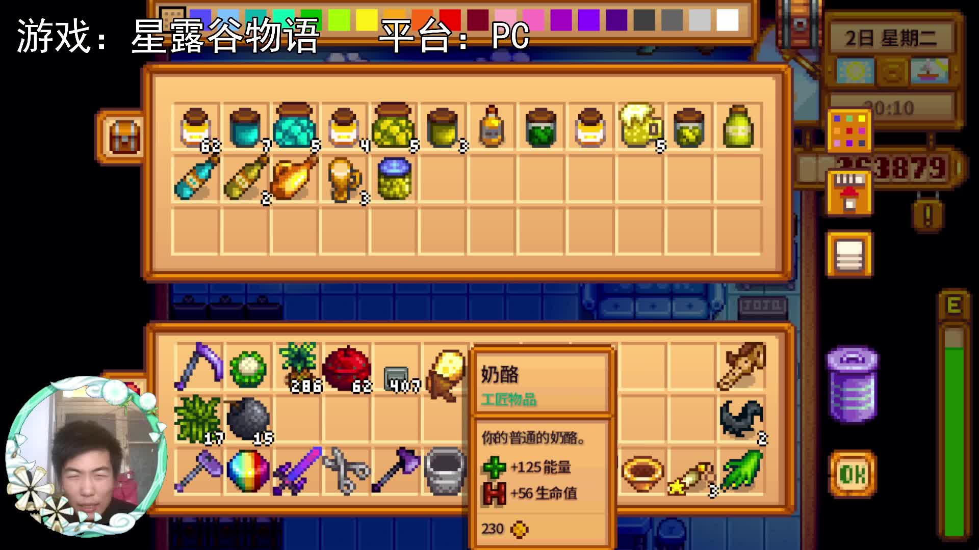 【星露谷物语】乳酪花椰菜！