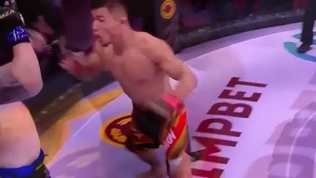 世界综合格斗名场面