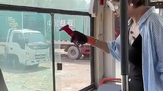 危险的时候一定要找个聪明人拿锤子，她可能丢了脑子，你可能丢了命