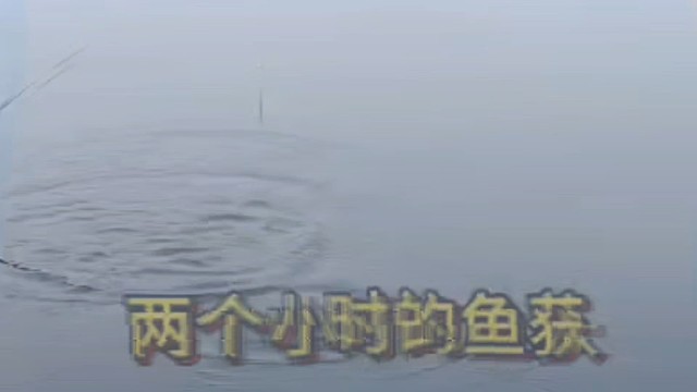 两小时的鱼获