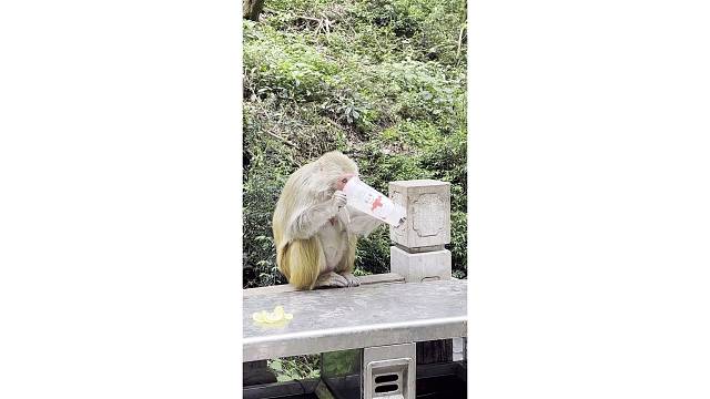 贵州黔灵山公园