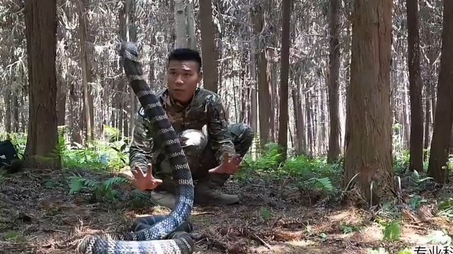 野外13斤过山峰3.5米