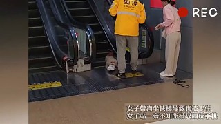 估計在百度 狗在商場死了能賠多少錢[偷笑]