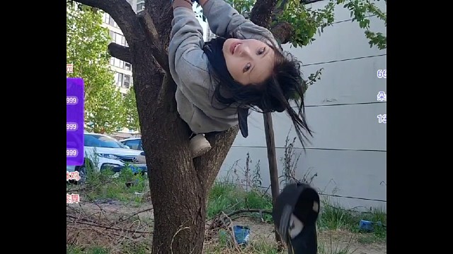 蔚猪的爬树日常