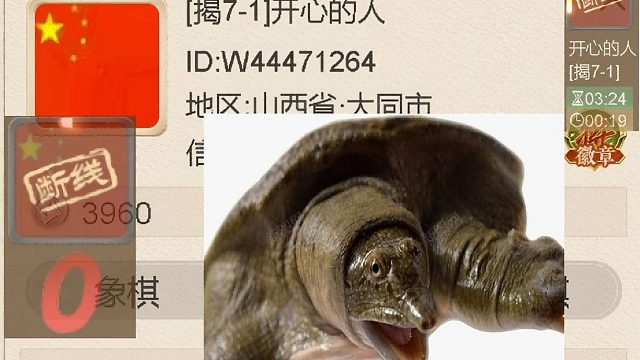 揭棋-断线狗-陕西大同滴犬犬