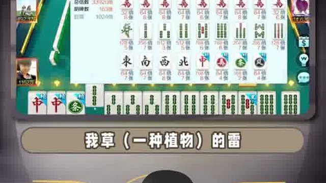 不会还有人的大鸟不会piu 吧