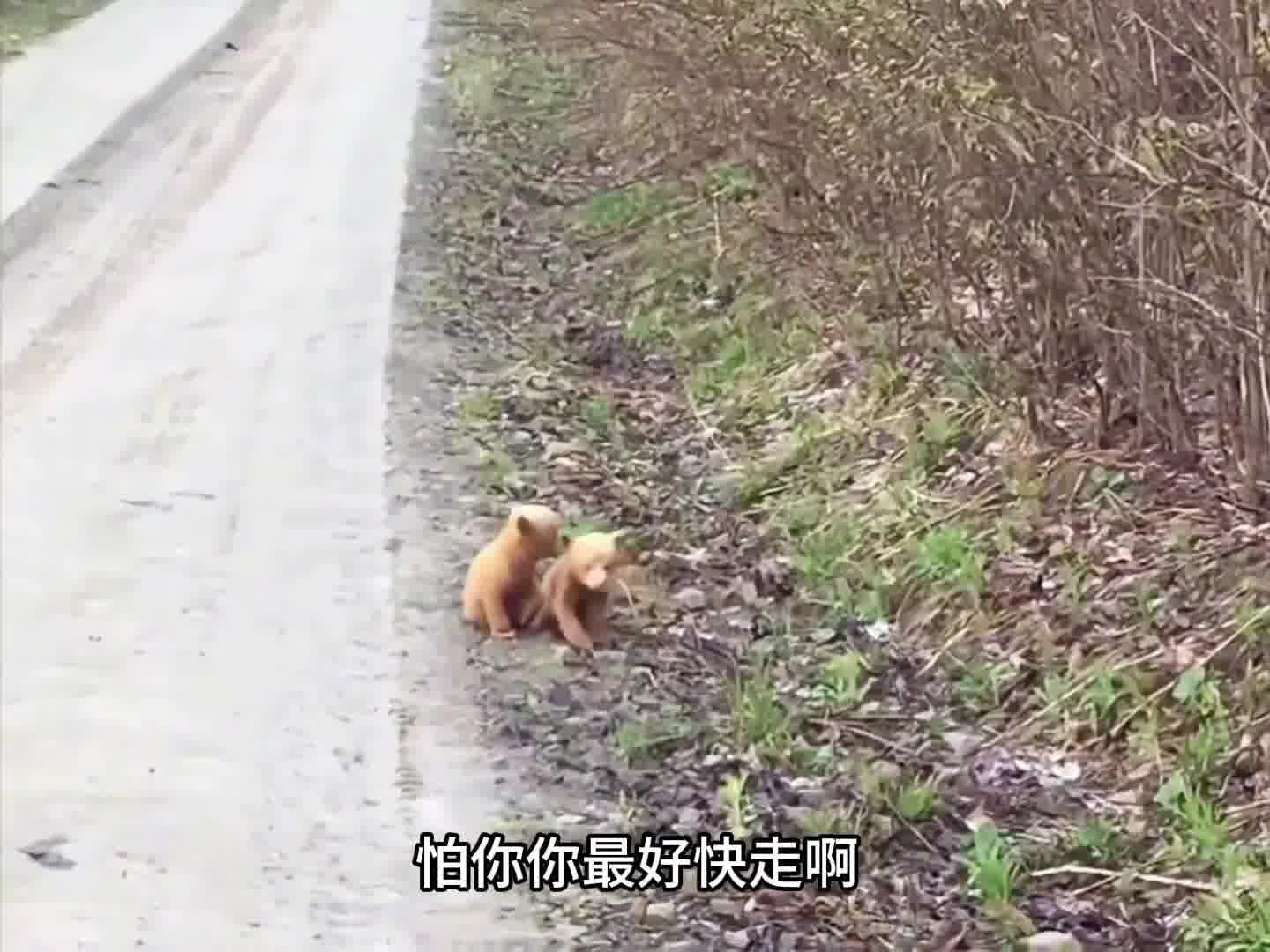 今天没空改天吧