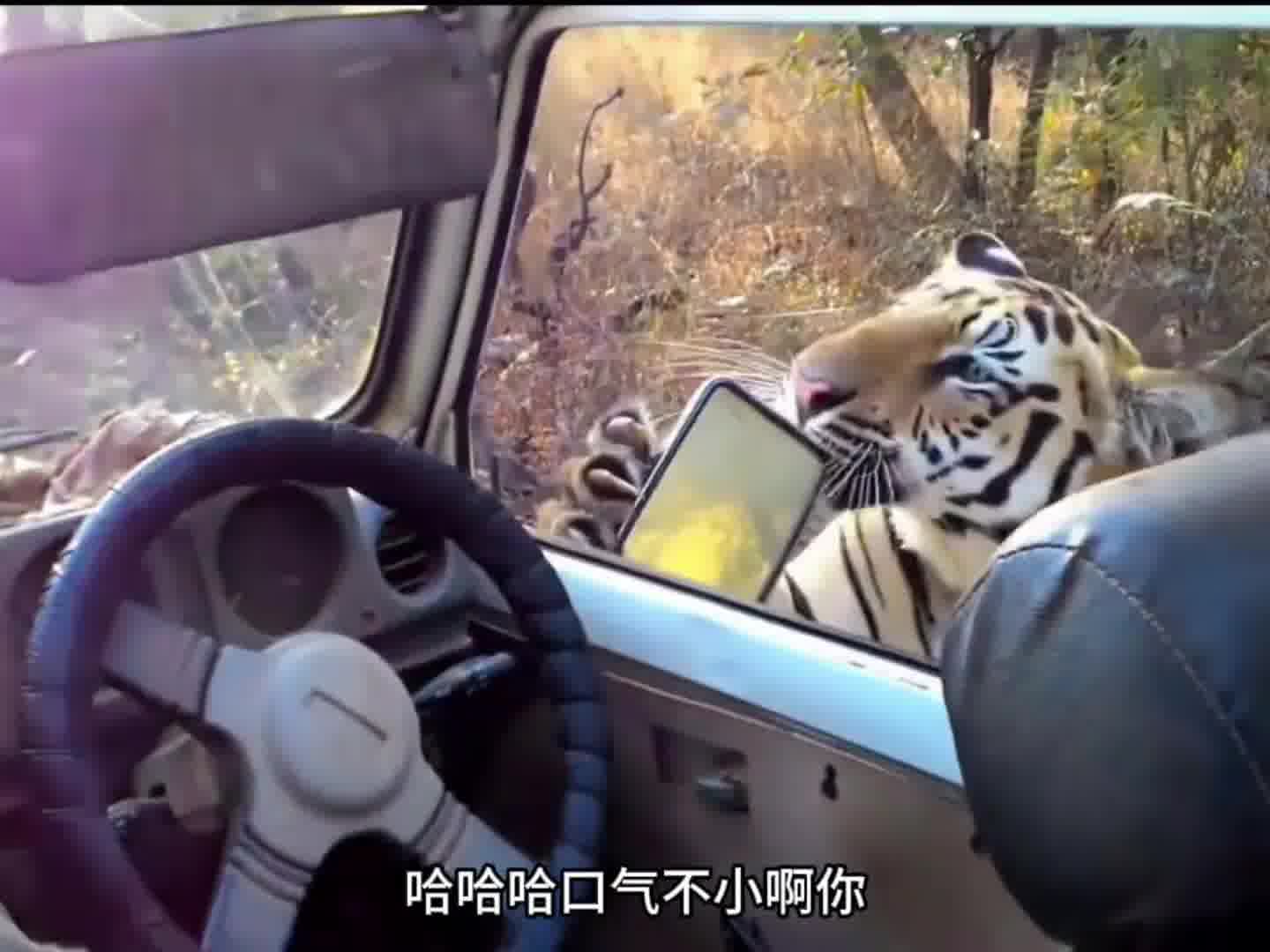 你这小破车我都不稀坐