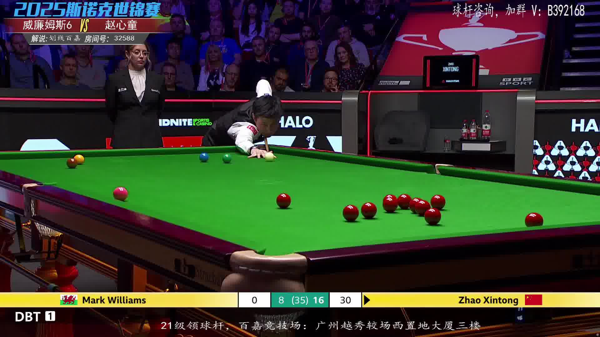 赵心童vs沃克林  2025斯诺克世锦赛