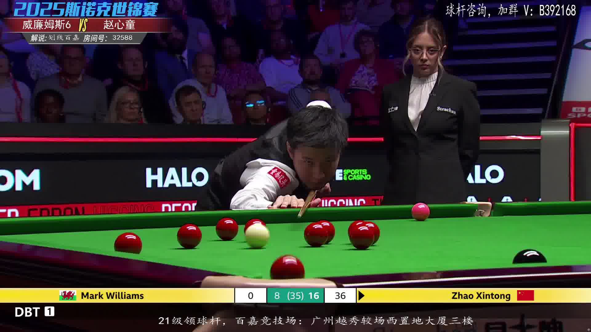 赵心童vs沃克林  2025斯诺克世锦赛