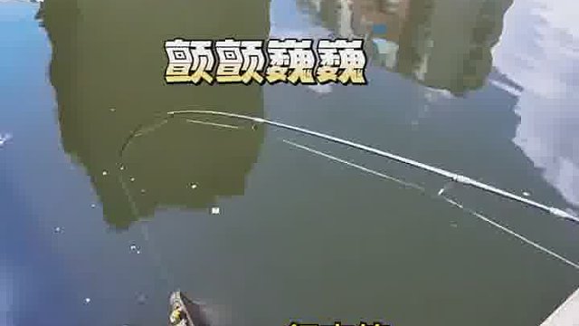 钓鱼佬：今天钓到隐藏款了