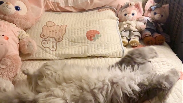 问：宝贝儿子和宝贝女儿睡了我的床，我睡哪？