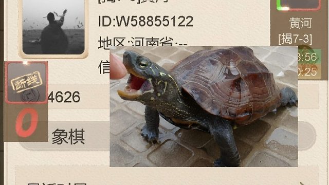 揭棋-断线狗来喽-大早晨起来干跑河南犬. 黄河.你跳进黄黄河逃跑.厉害-一生也抬不起头做人的劣等.何