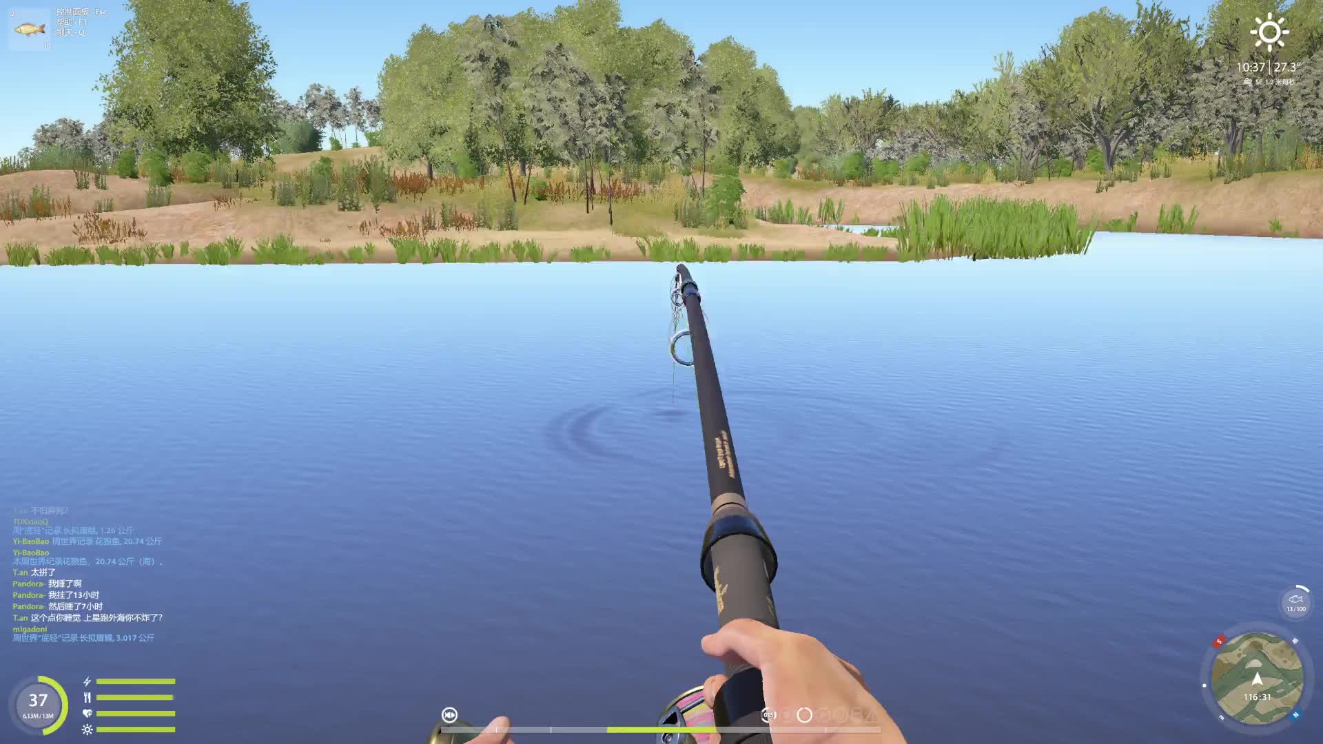 白鲑点十分钟起鱼，小星鳇