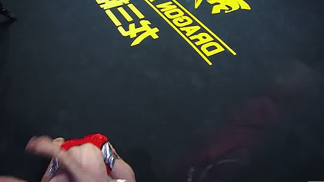 龙三格斗环球拳王巡回赛混剪