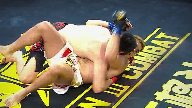 龙三格斗环球拳王巡回赛混剪