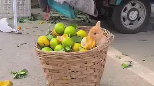 怎么可能和谁过都一样！