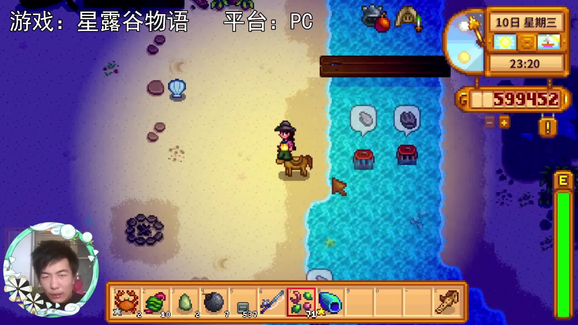 【星露谷物语】夜晚的蟹笼！