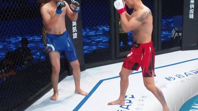 龙三格斗环球拳王巡回赛混剪