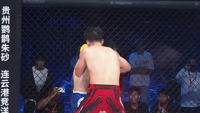 龙三格斗环球拳王巡回赛混剪
