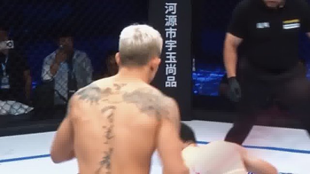 龙三格斗环球拳王巡回赛