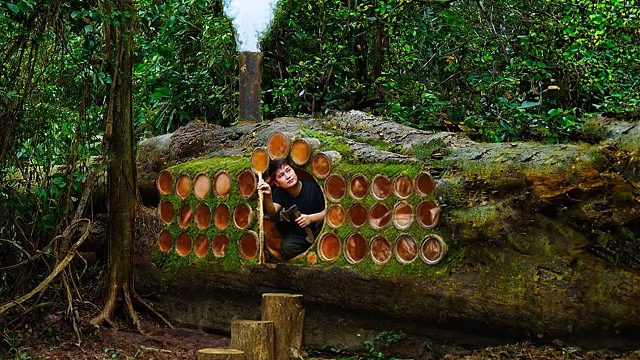 山野丛林中毒蛇虫蚁横行，我为了防护己身，打造出了超级庇护所