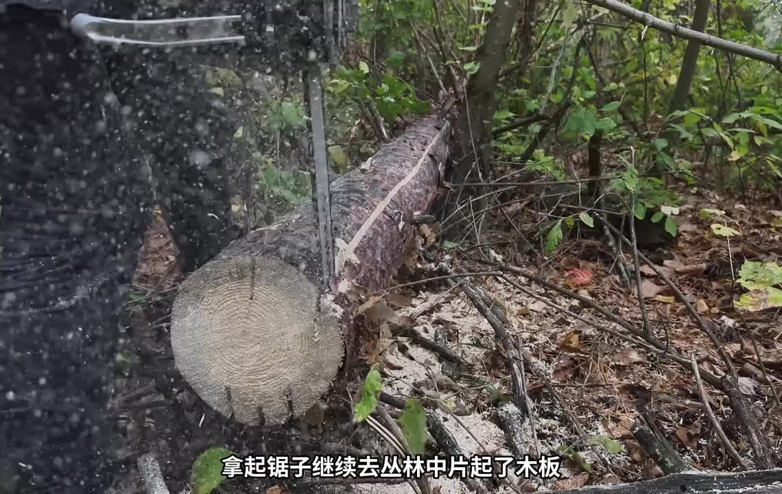 第3集：小屋的搭建也越来越好
