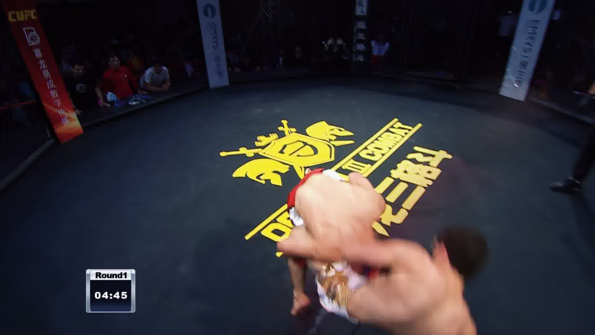 龙三格斗环球拳王巡回赛