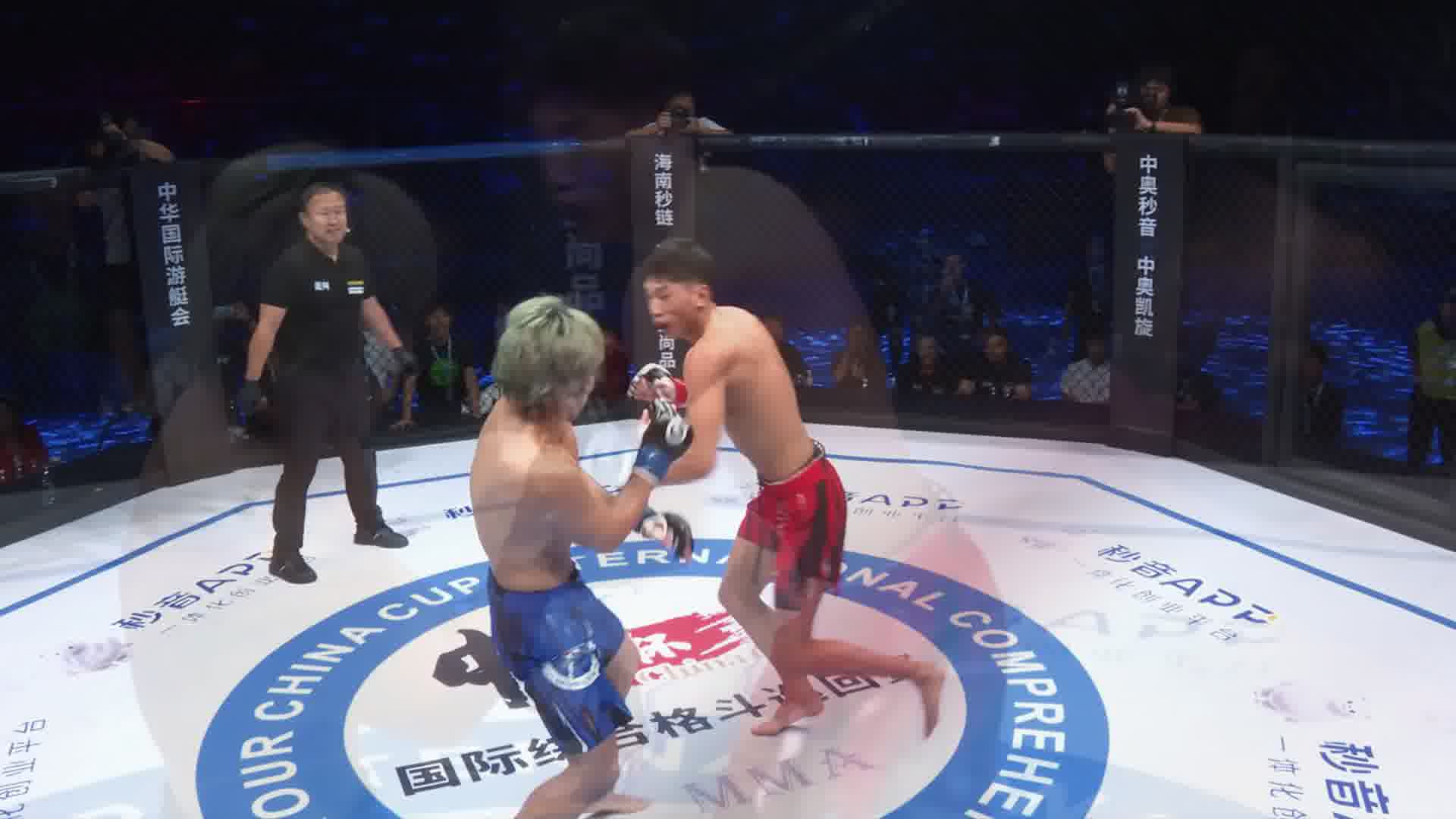 龙三格斗环球拳王巡回赛