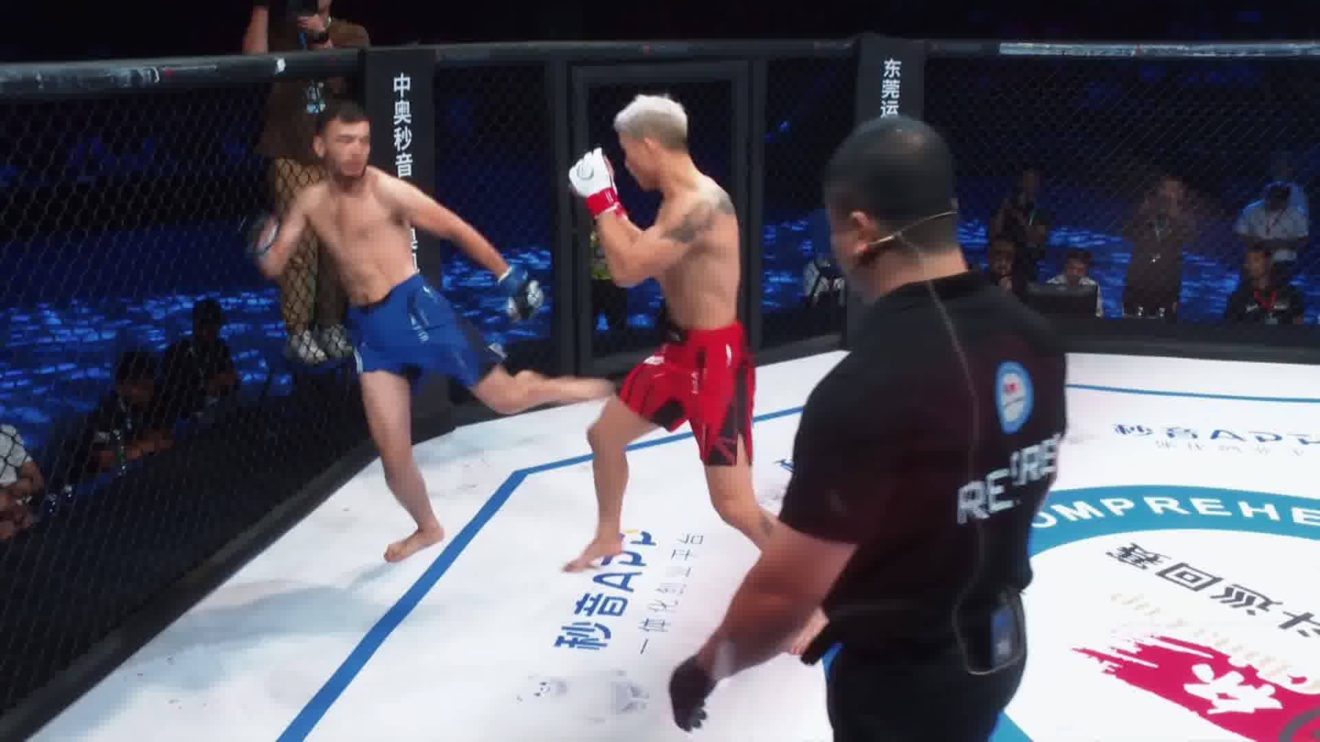 龙三格斗环球拳王巡回赛