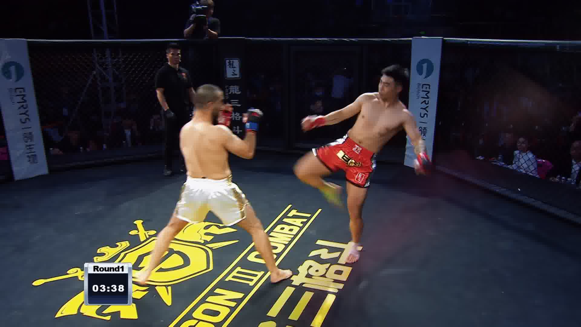 龙三格斗环球拳王巡回赛