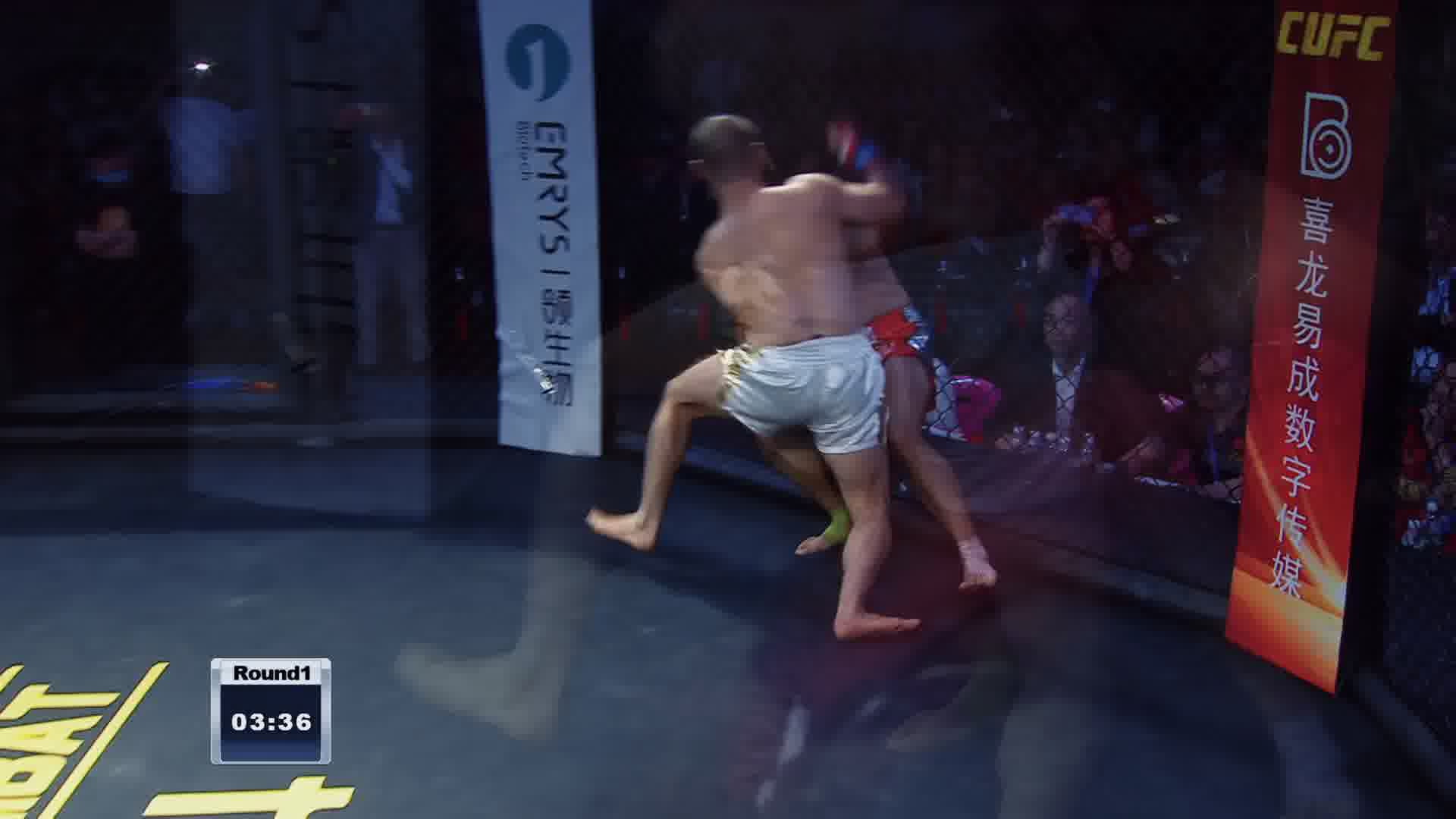 龙三格斗环球拳王巡回赛