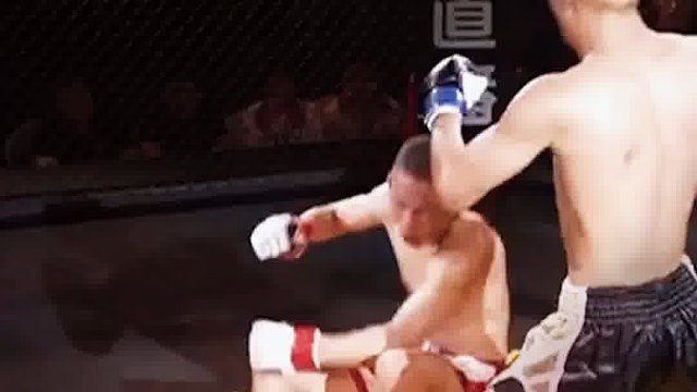 龙三格斗环球拳王巡回赛