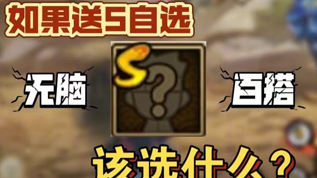 如果送S自选，该选什么忍者？