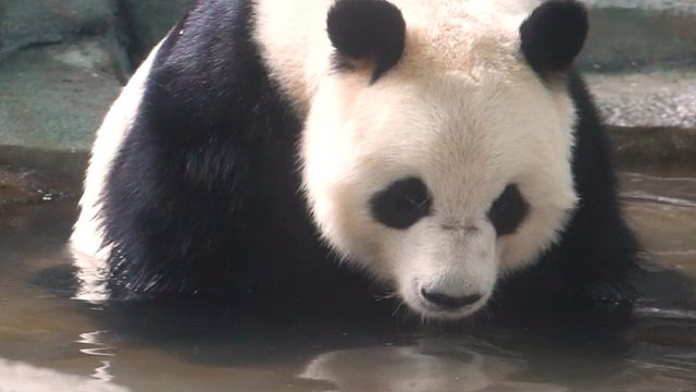 喝了水水，开心的要飞起来